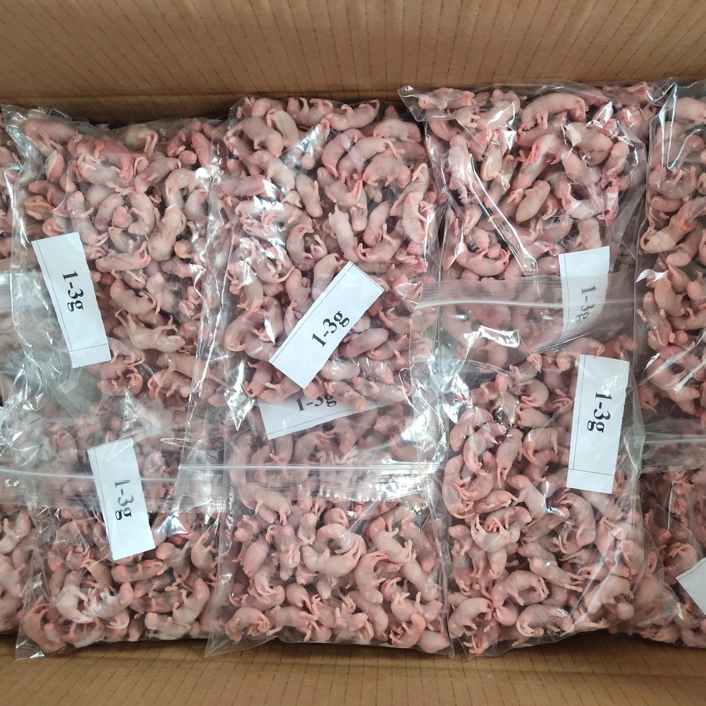 Small Pinky Mice 2 - 2.50g - Al Arabi Falcons