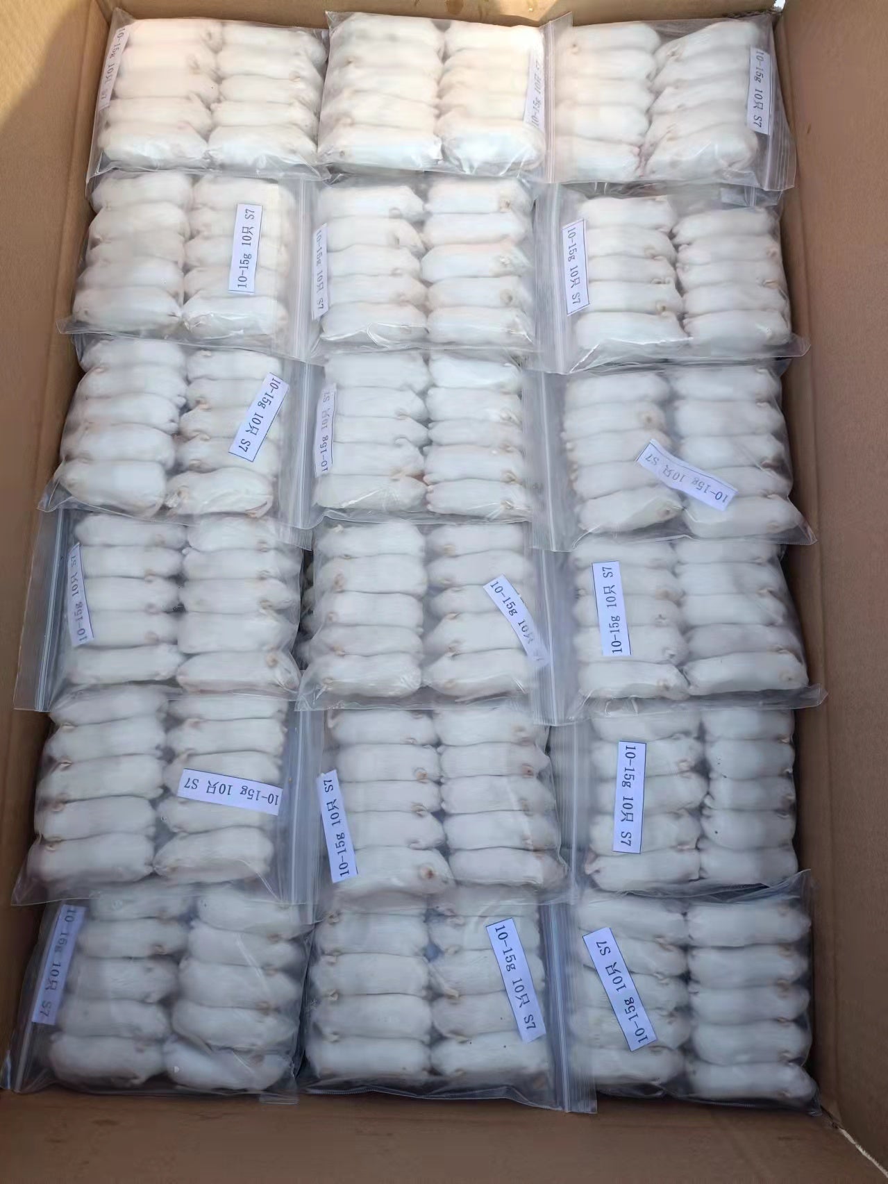 Small Pinky Mice 2 - 2.50g - Al Arabi Falcons