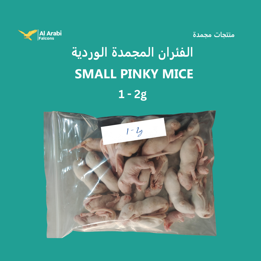 Small Pinkie Mice Frozen 1-2g, 100 PCS per BAG