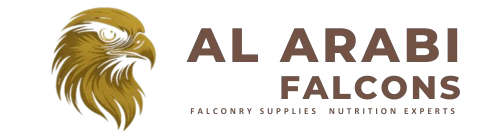 Al Arabi Falcons