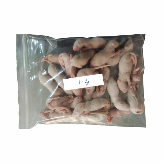 Small Pinkie Mice Frozen 1-2g, 100 PCS per BAG