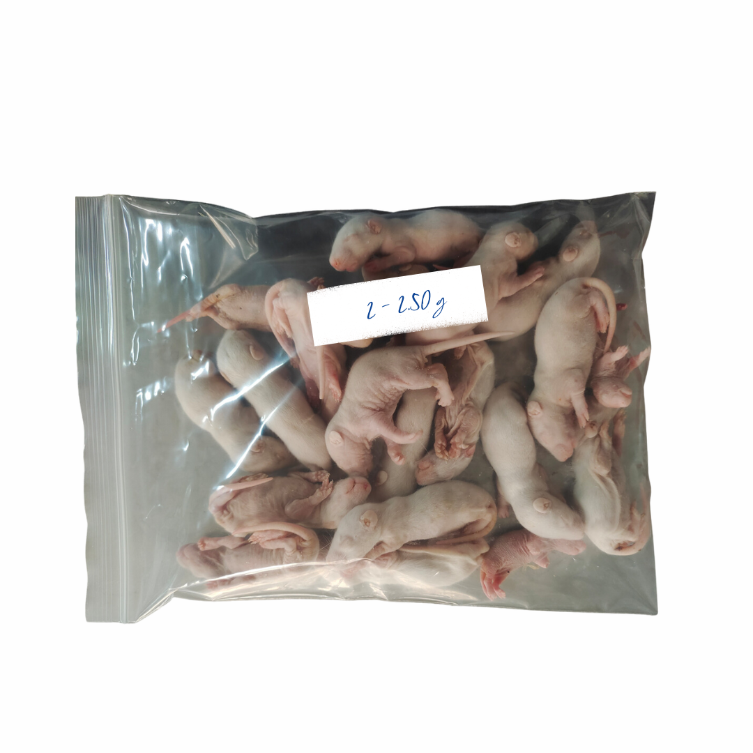 Small Pinky Mice 2 - 2.50g