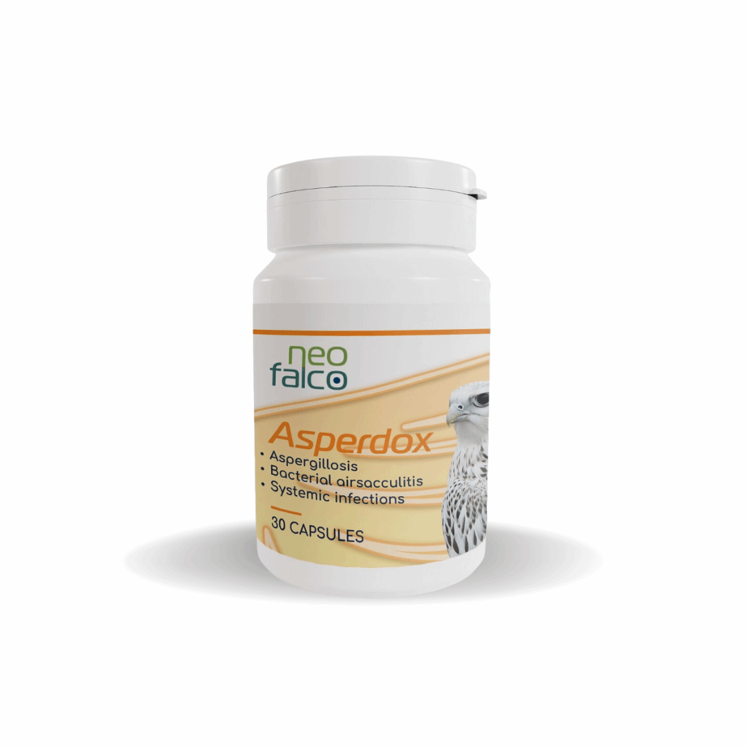 Asperdox - 30 Capsules for Falcon Respiratory & Systemic Infections - Al Arabi Falcons
