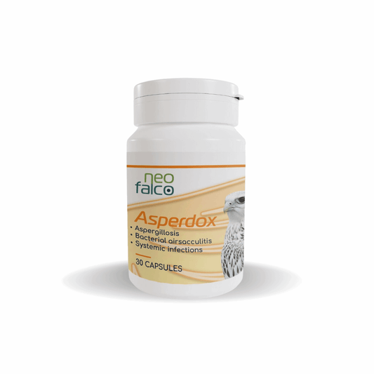 Asperdox - 30 Capsules for Falcon Respiratory & Systemic Infections - Al Arabi Falcons