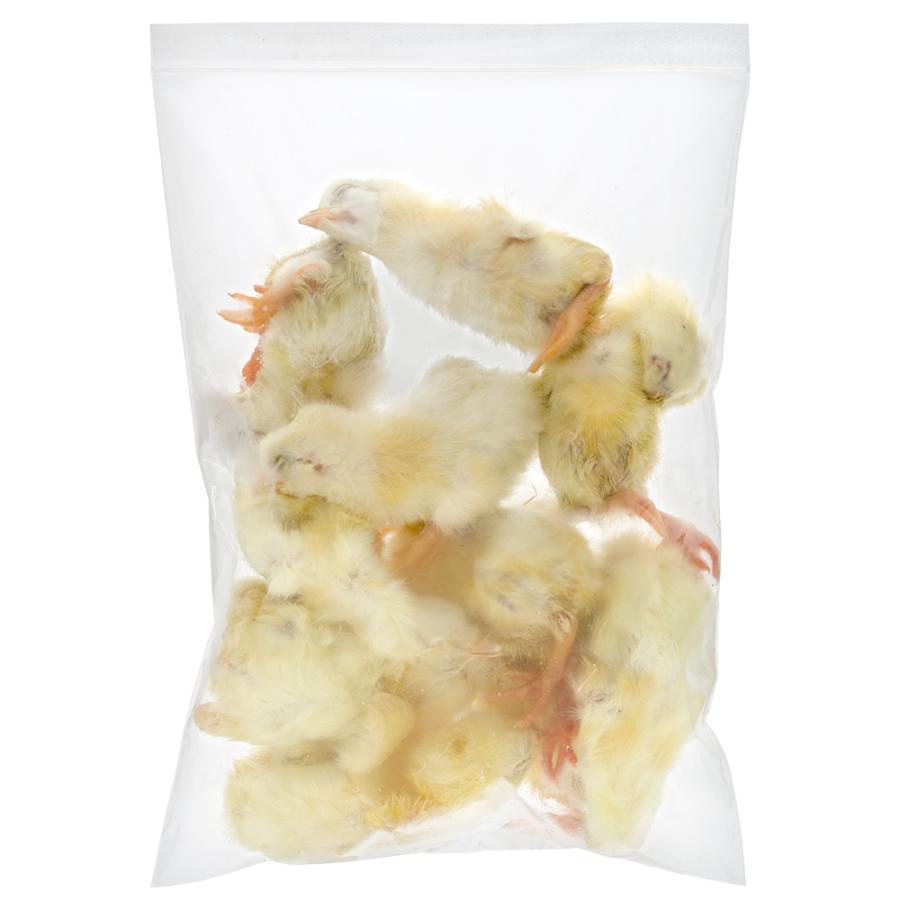 Frozen Day - Old Chicks – 1 KG Carton - Al Arabi Falcons
