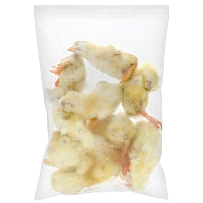 Frozen Day - Old Chicks – 1 KG Carton - Al Arabi Falcons