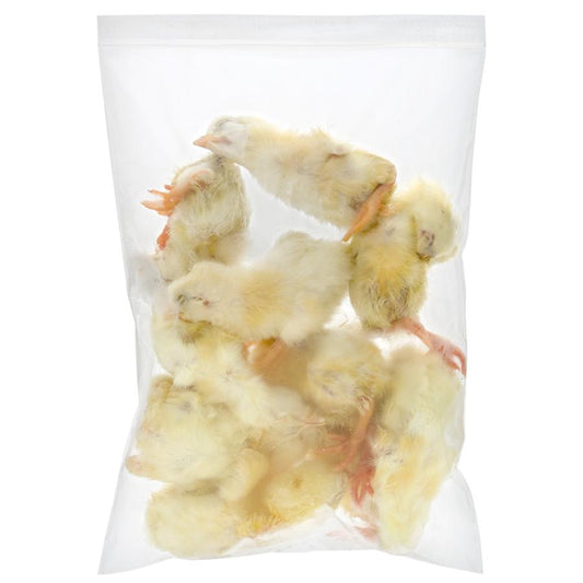 Frozen Day - Old Chicks – 1 KG Carton - Al Arabi Falcons