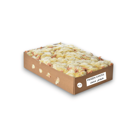 Frozen Day - Old Chicks – 10 KG Box - Al Arabi Falcons