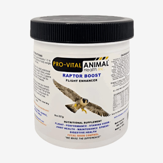 Pro - Vital Raptor Boost 227g: - Al Arabi Falcons