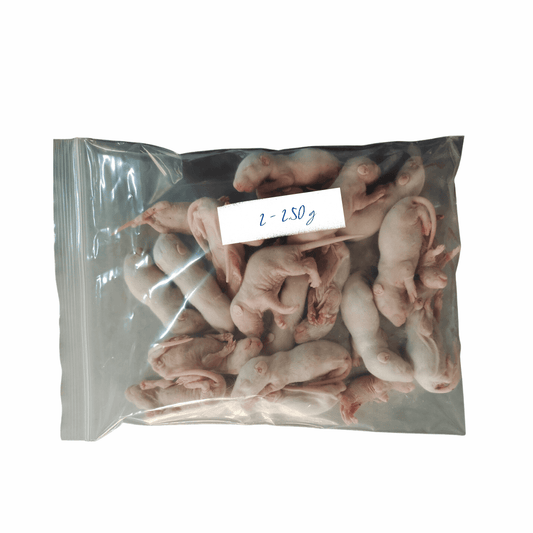 Small Pinky Mice 2 - 2.50g - Al Arabi Falcons