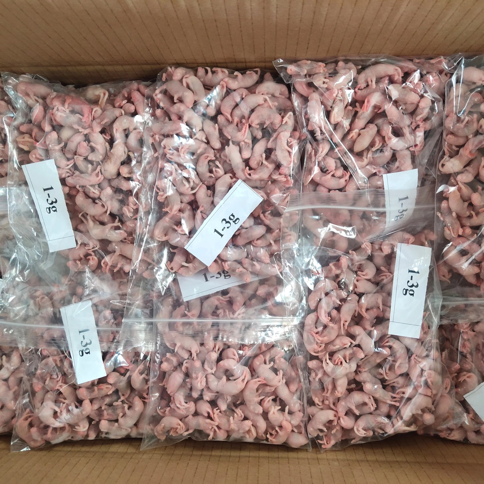 Small Pinky Mice 2 - 2.50g - Al Arabi Falcons