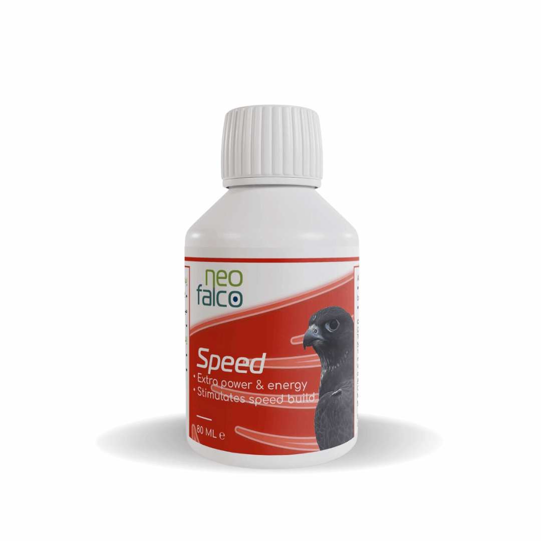 Speed - Racing Supplement for Falcons - 80ml - Al Arabi Falcons
