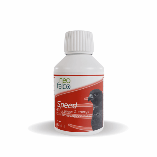 Speed - Racing Supplement for Falcons - 80ml - Al Arabi Falcons
