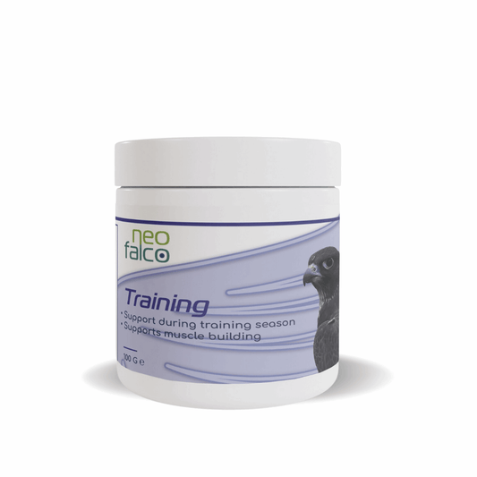 Training - Falcon Training Supplement - 100g - Al Arabi Falcons